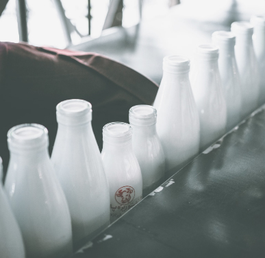 inopor – Industrie im Fokus: Milch